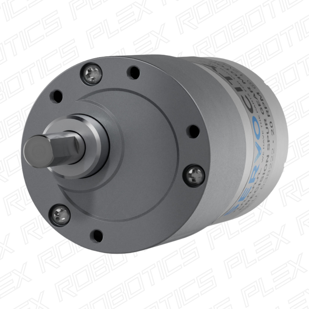 20 RPM Precision Spur Gear Motor