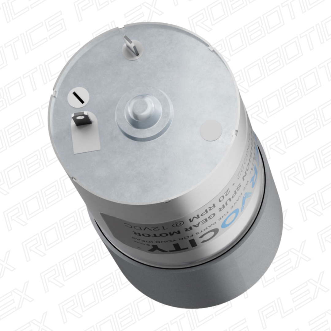 20 RPM Precision Spur Gear Motor