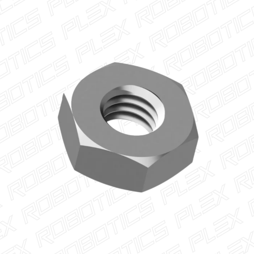 Hex Nuts (100 Pcs.)