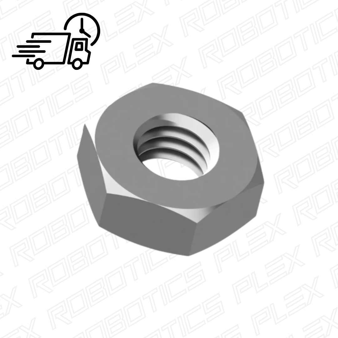 Hex Nuts (100 Pcs.)