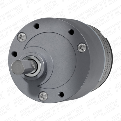 Gear Motor (0.5 RPM - 303 RPM)