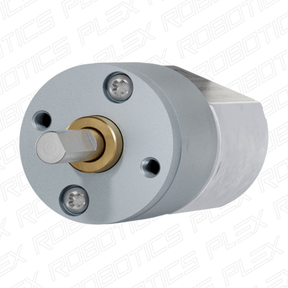 Mini Econ Gear Motor (26 RPM - 508 RPM)