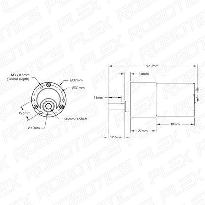 20 RPM Precision Spur Gear Motor