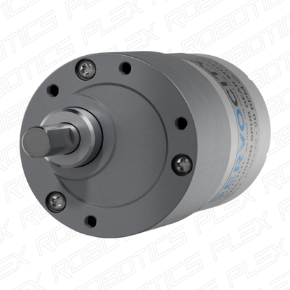 20 RPM Precision Spur Gear Motor
