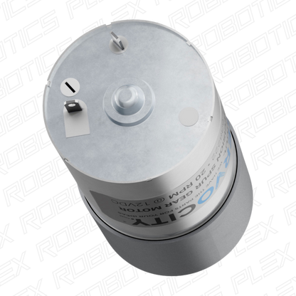 20 RPM Precision Spur Gear Motor