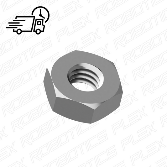 Hex Nuts (100 Pcs.)